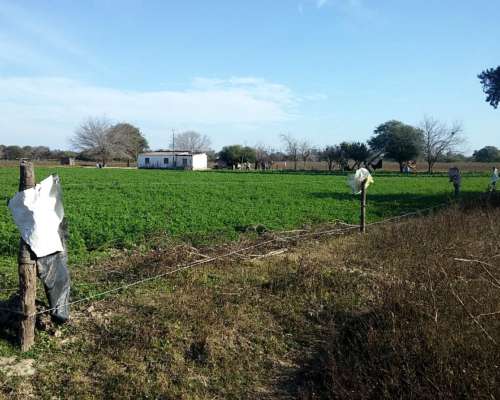 Campo Mixto Agricola - Ganadero - Santiago del Estero 35%off