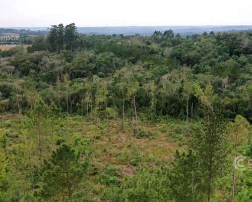 Chacra en Venta de 25ha en Olegario Victor Andrade