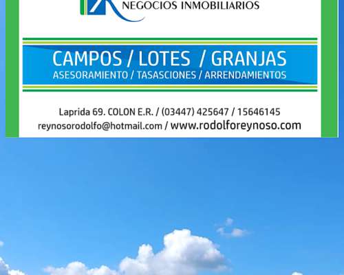 5 HA. en San Cipriano. Entre Ríos