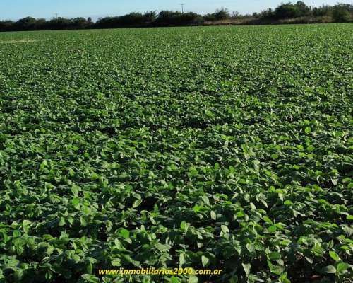 Córdoba Sarmiento 118 Has Agr+icolas Campaso