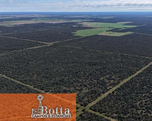 Establecimiento Ganadero de 1475 Hectáreas, Arizona,san Luis