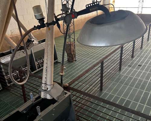 Equipamiento de Cerdos para Recria o Destete