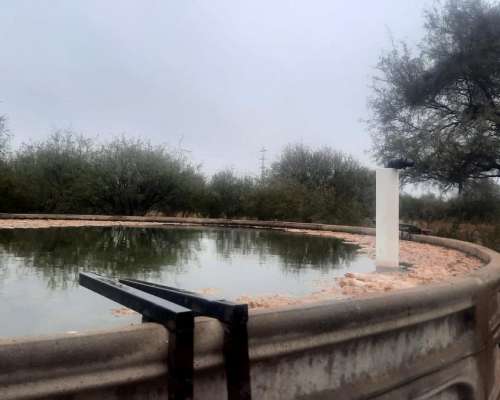 Dueño Vende Campo 47 Ha en Pozo Cavado S/ Ruta 146
