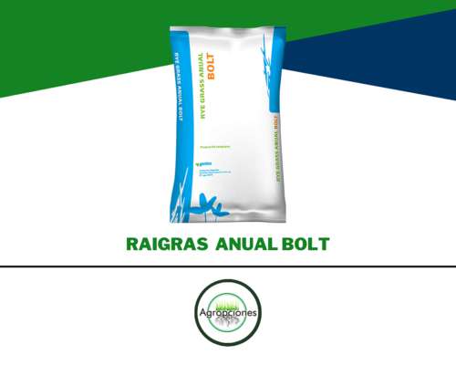 Semilla de Raigras Bolt - Gentos