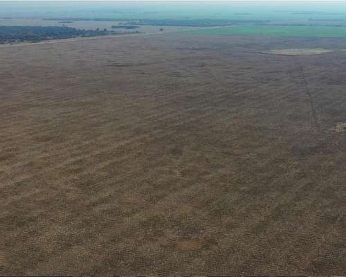 Santiago del Estero Bandera Fortin Inca 1.000 Has Agricolas