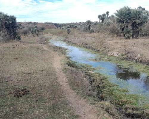Campo de 62 Ha con Río Propio, Escritura. Caminiaga, Córdoba