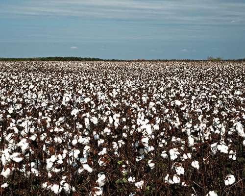 927 en Villa Mineti Santa FE