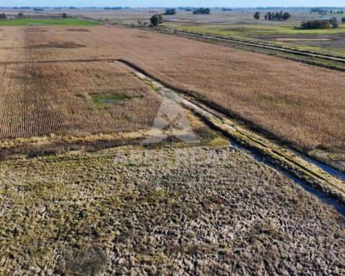 60 Ha Bayauca, Prov. de Buenos Aires