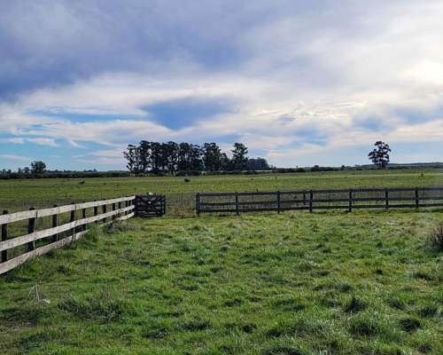 35 HA. Ganaderas - Equinos, Stud. Dpto. Colón