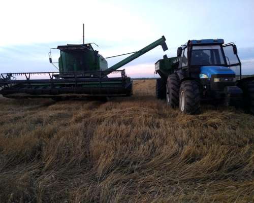 Vendo Cosechadora Deutz Farh Óptima S