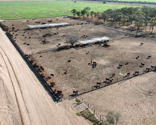 Averías, Taboada, Santiago del Estero - 1.625 Ha
