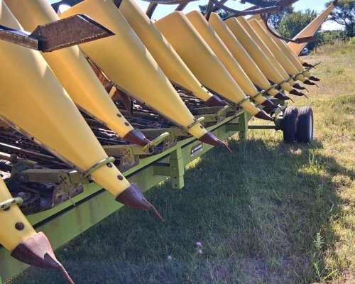 Maicero Allioschis 18 a 42