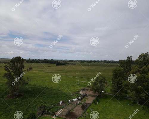 Campo en Venta de 450 Has en Magdalena. Mixto
