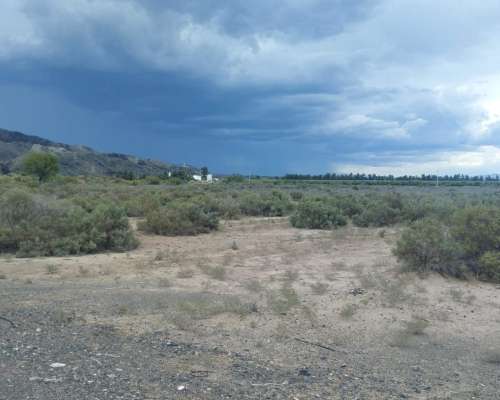 Oportunidad Campo Proyecto Pistacho