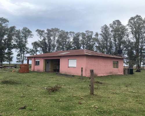 Campo Mixto 32 Hectáreas con Casco Roque Pérez