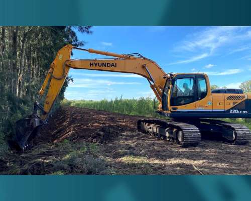 Excavadora Hyundai 220 LC95 (id875)