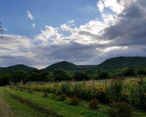 Campo Panorámico de 15 Ha en Coronel Moldes, Salta