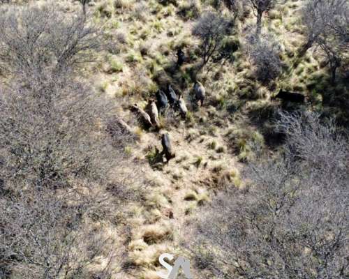 Vende: Hermoso Coto de Caza en la Pampa