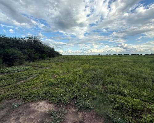 Remax Vende Campo Ganadero Sobre Ruta 34 Mailin