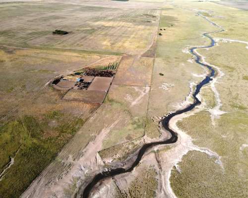 Ba1613 Ganadero 3.700 Has