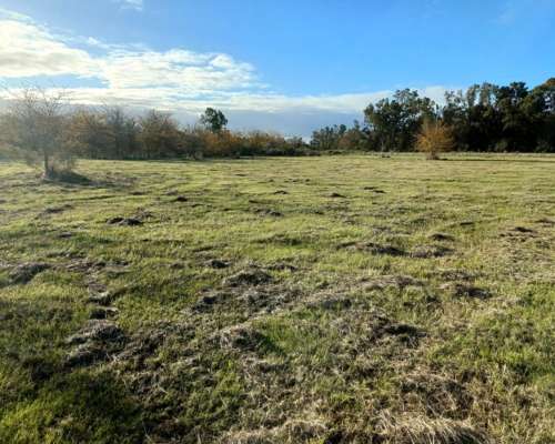 Chacras/lotes de 1 Hectárea en Cañuelas Financiados