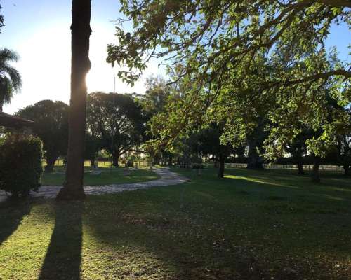 Casco de Campo Ecuestre Ideal para Haras