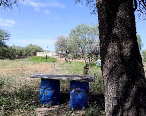 Dueño Vende Campo 47 Ha en Pozo Cavado S/ Ruta 146
