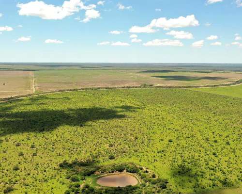Jarilla, Capital, San Luis, Argentina