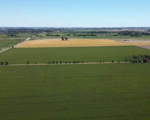 Campo en Venta. 63ha Pergamino