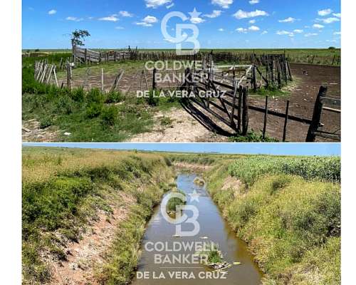 Piamonte, Santa FE, Campo Mixto