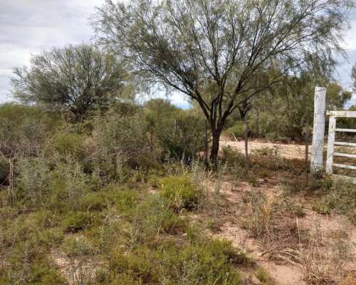 Milagro (LA Rioja) 6.000 Has Ganaderas .