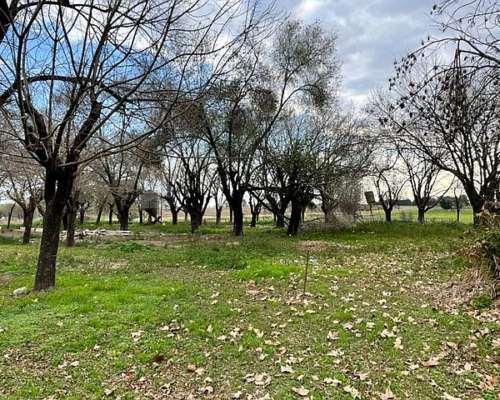 Chacra Sobre Ruta con Mejoras
