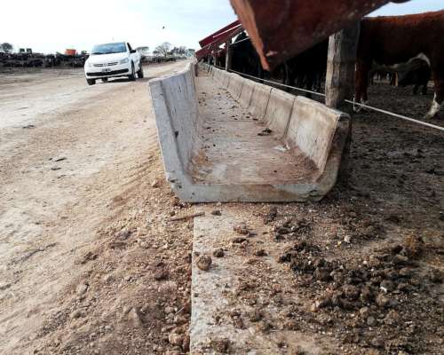 Comedero para Feedlot de Hormigón Armado