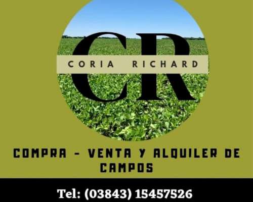 Vendo 600 Has de Campo Zona Vilelas