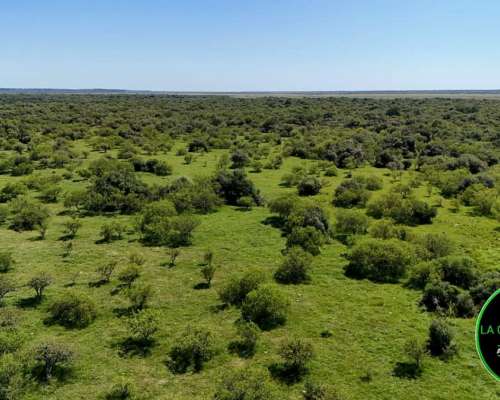 Vendo Campo Ganadero 430 H.A Zona Chajari E.R