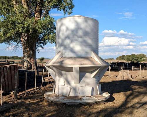 Silos Comedero Autoconsumo Verticales 7.000 KG. (10 M3)