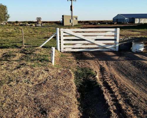 Vendo 12 Extractores. para Galpones de Pollo