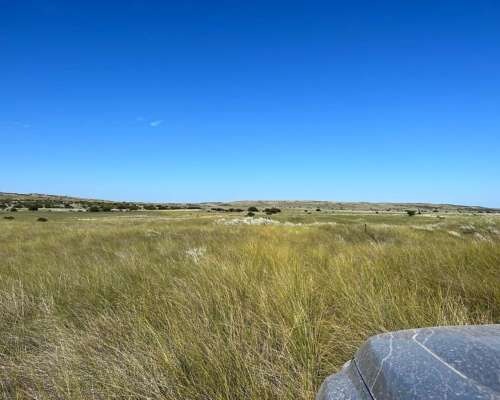 Establecimiento 2580 Ha Venta