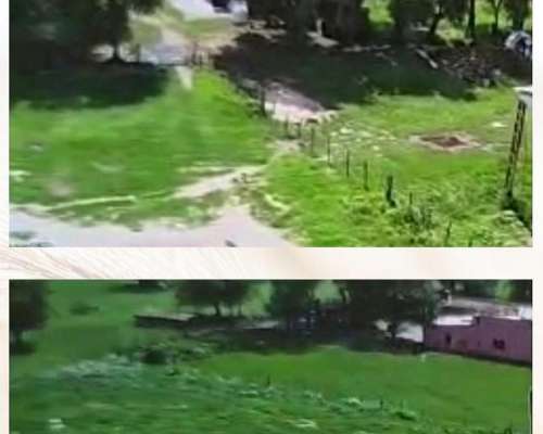 Campo en Pergamino 690 Has