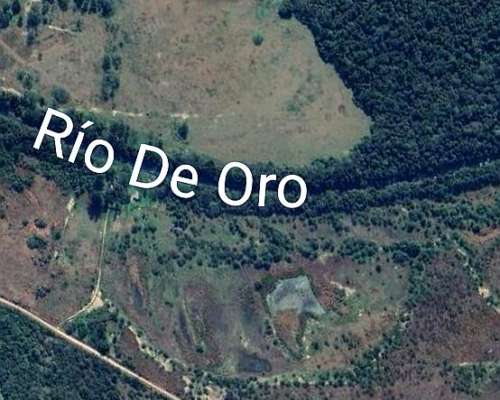Vendo Campo en la Leonesa Chaco