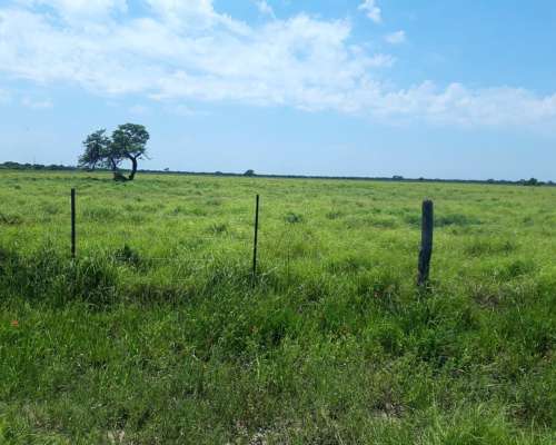 Campo Agricultura en Alquiler