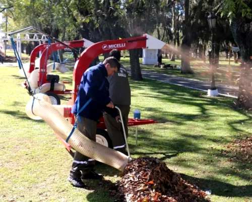 Aspiradora de Hojas Micelli