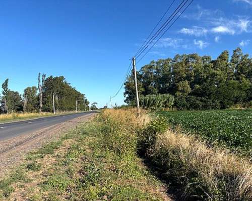 10 Has Sobre Ruta con Acceso a Luz, Agua y GAS Natural.
