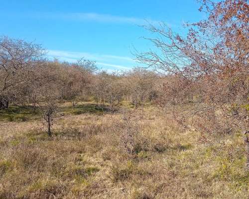 16 Ha Ganaderas. Departamento Nogoyá. Buen Campo
