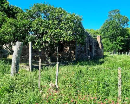 Campo Ganadero 1470 Has Pcia de la Plaza Chaco
