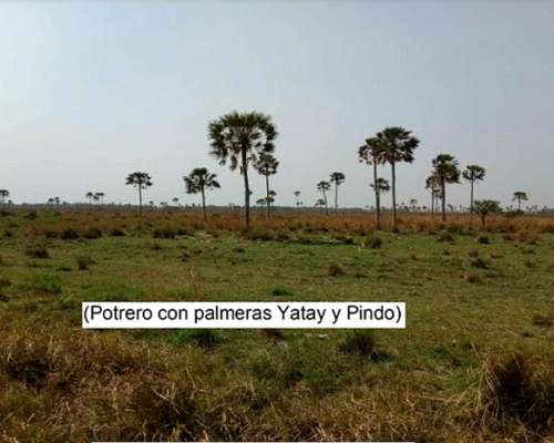 Campo 4168ha Mixto - San Luis del Palmar Corrientes