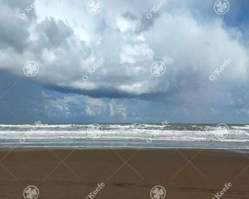 Campo en Venta de 135 Has en Tres Arroyos