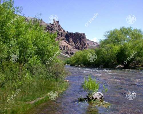 Campo en Venta de 635 Has Bariloche, Costa de Pichileufu