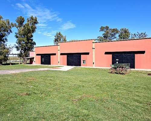 Venta. 371 Has, en Gualeguaychú, Haras “LA Trinidad”.