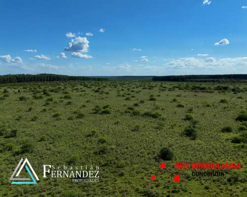 65 + 48 Has. Zona Forestal